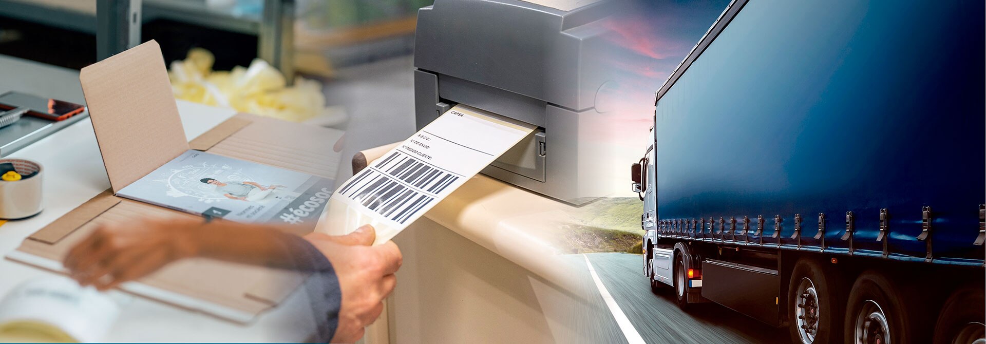 Vairāku pārvadātāju piegādes programmatūra