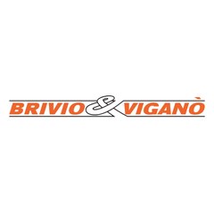 Brivio & Viganò